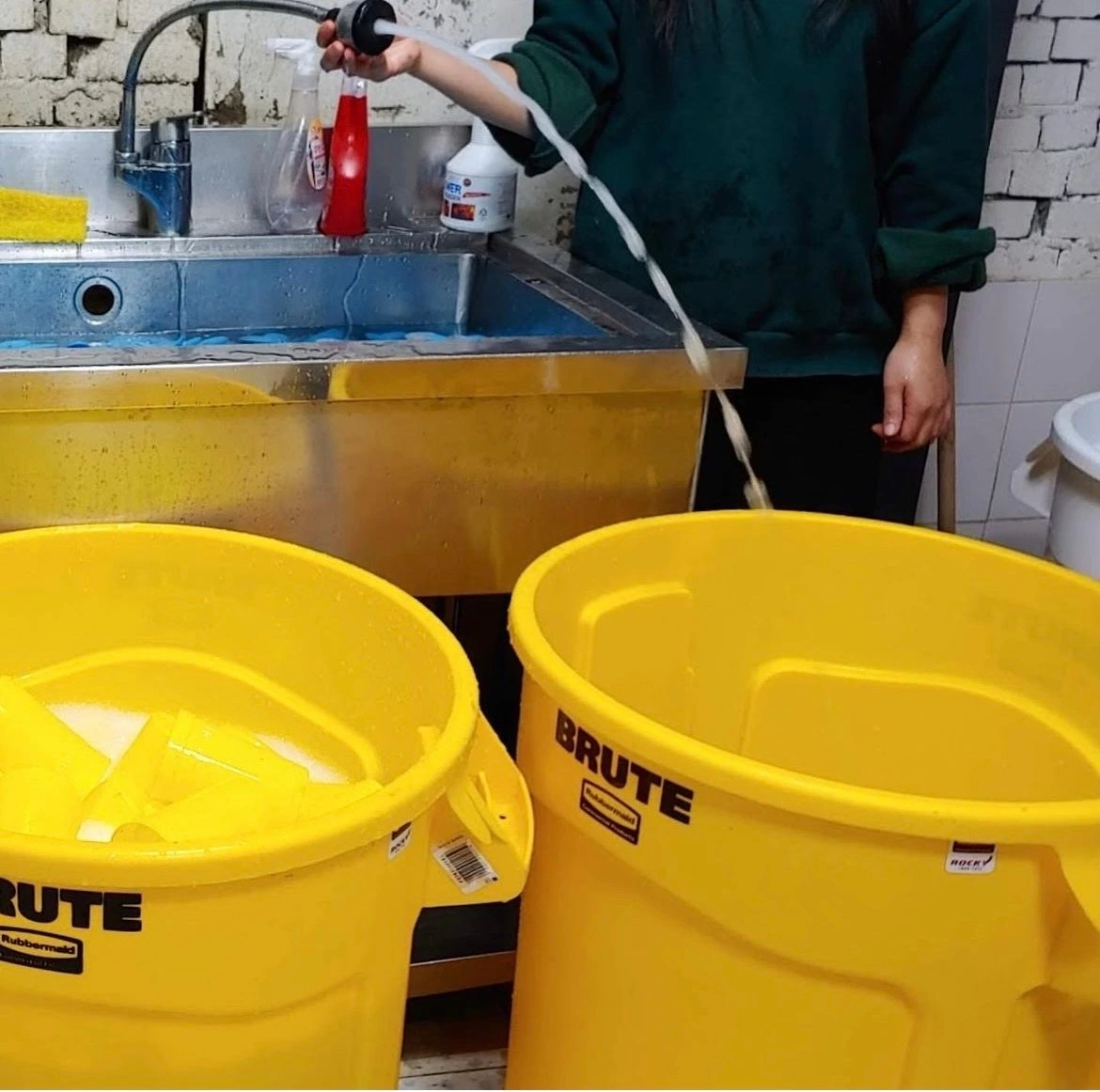 image_6487327 (7).JPG