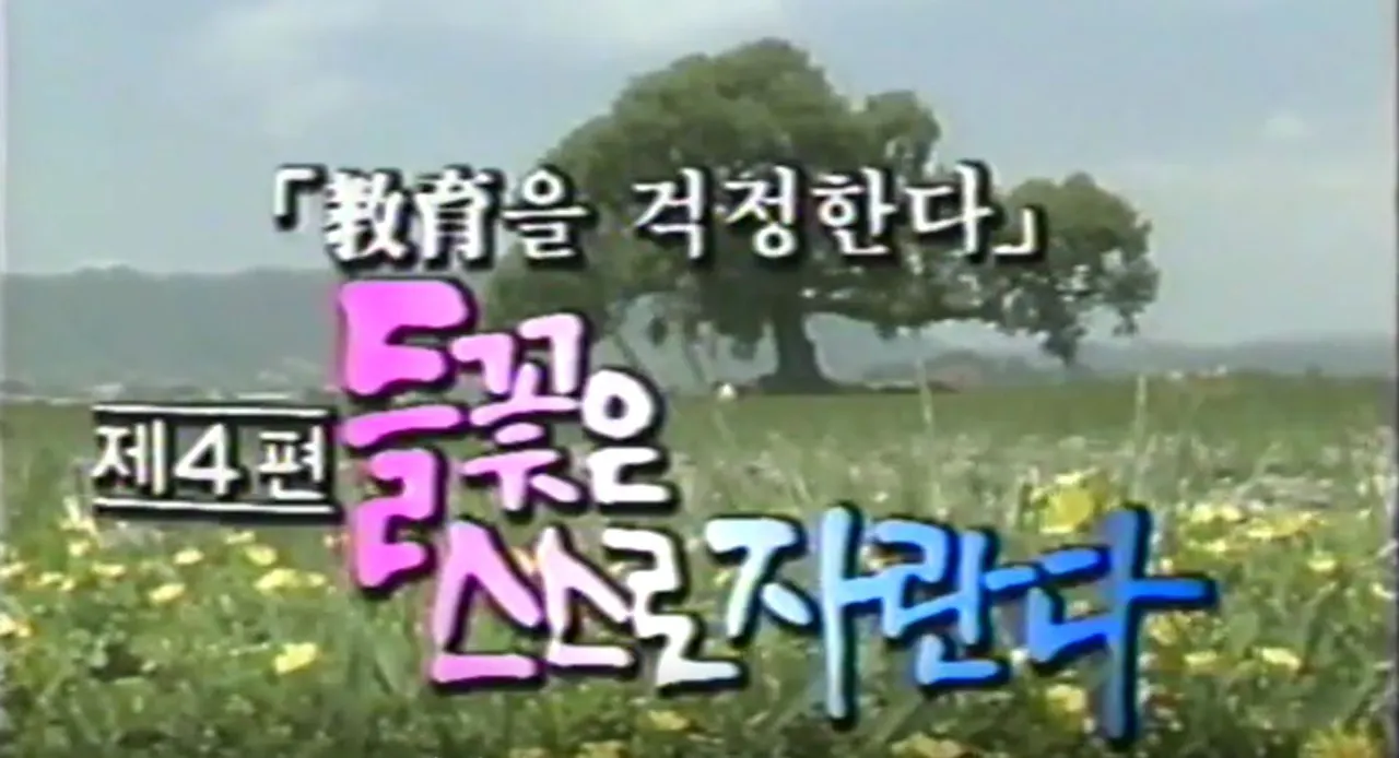 들꽃은 스스로 자란다.JPG