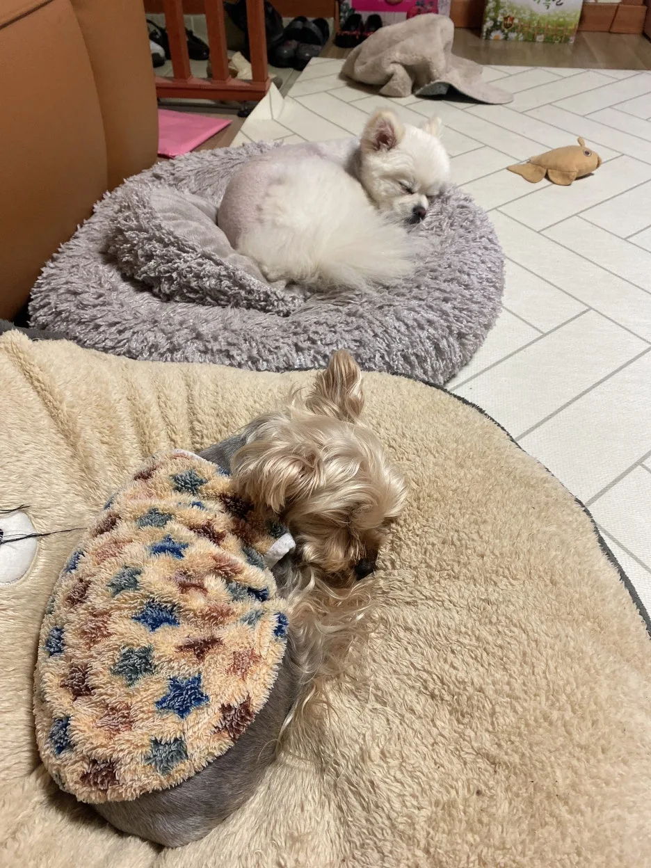 IMG_7988.JPG?type=w1