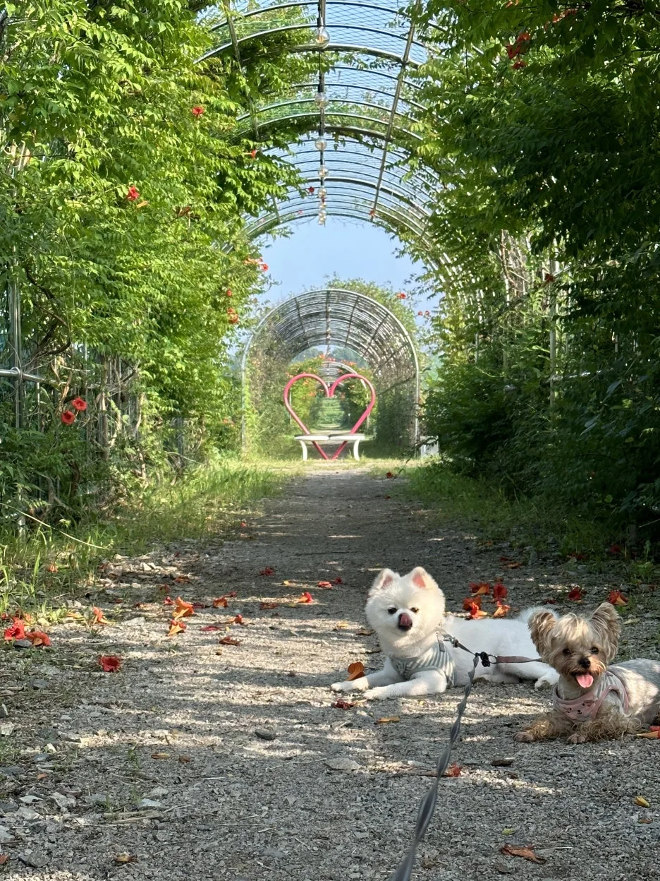 IMG_6753.jpeg?type=w1