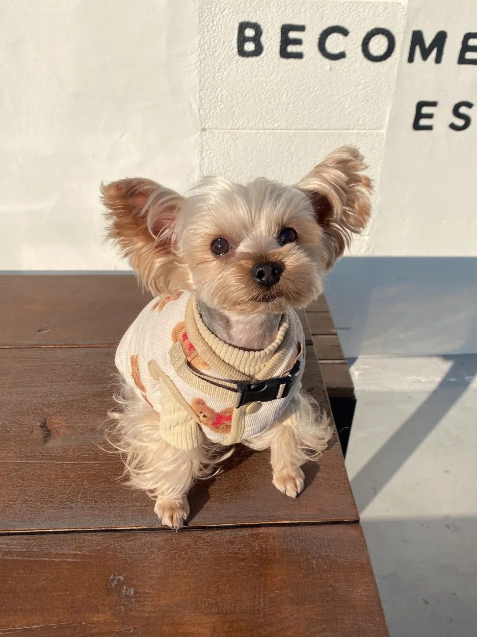 IMG_8943.jpeg?type=w1