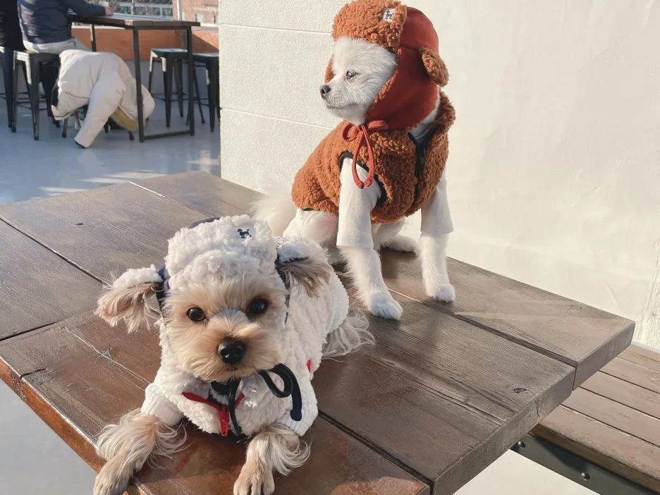 IMG_0467.jpeg?type=w1