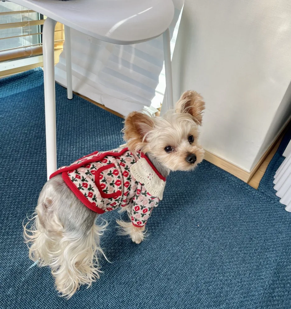 IMG_2127.jpg?type=w1