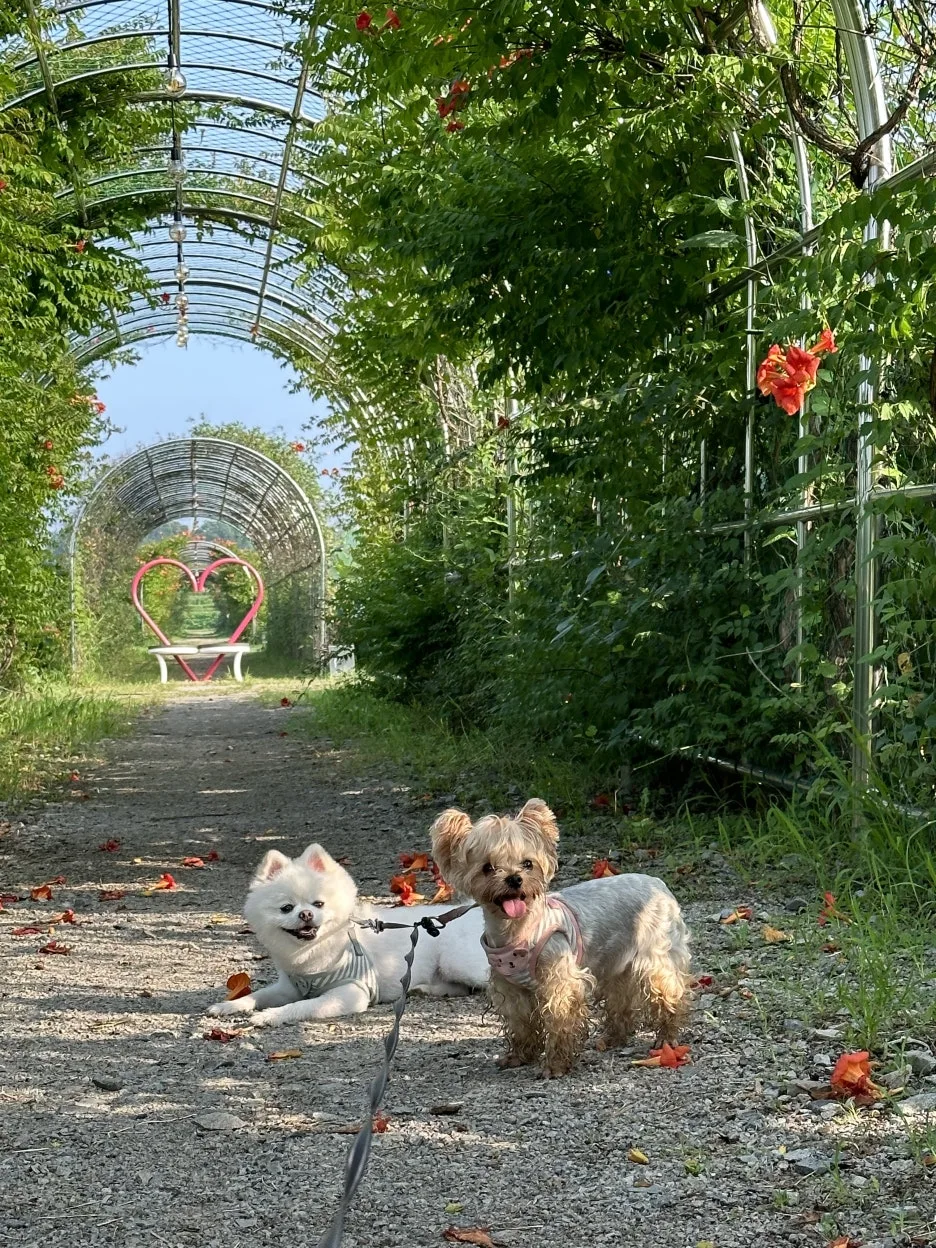 IMG_6756.jpeg?type=w1