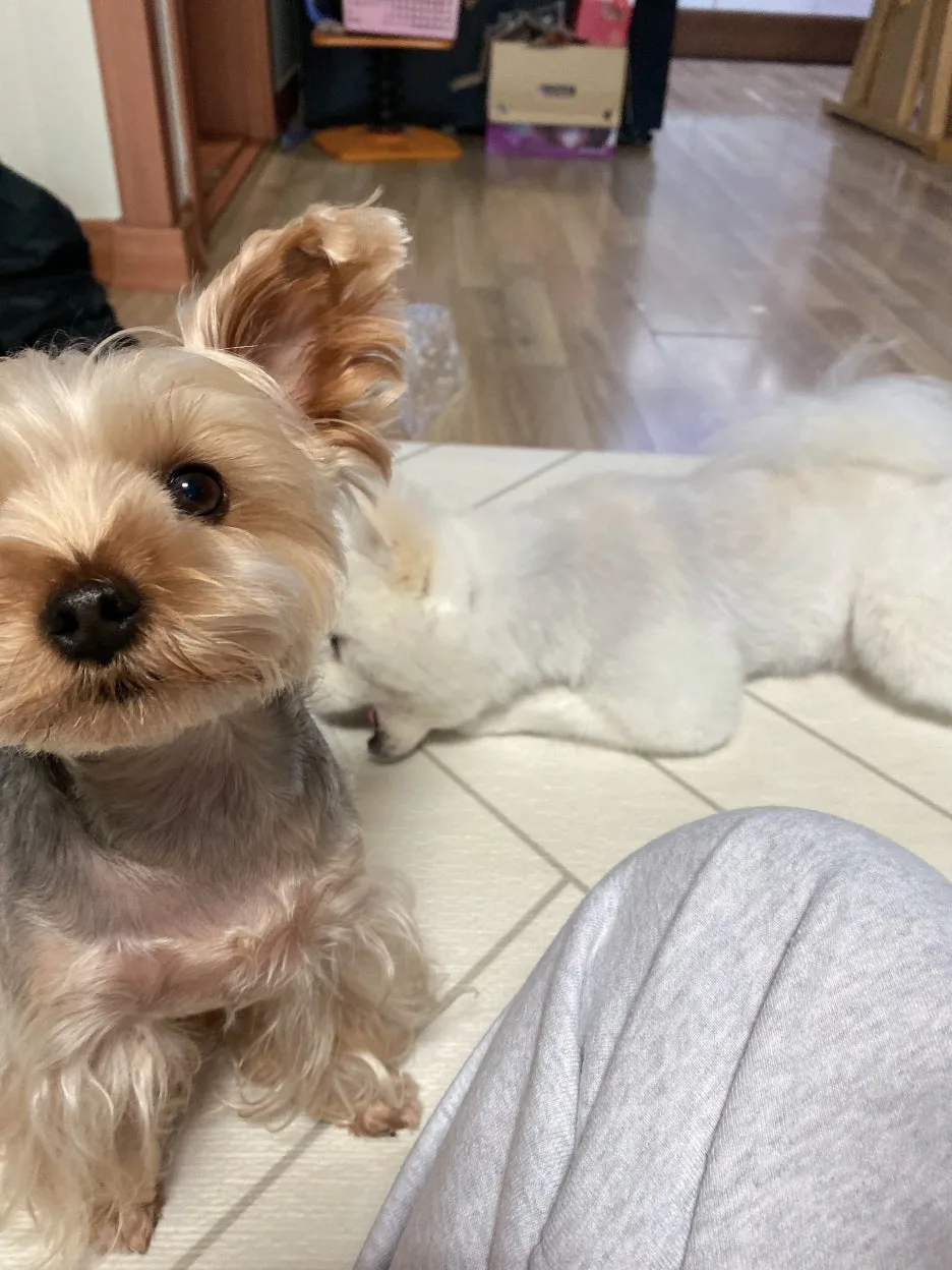 IMG_3540.JPG?type=w1