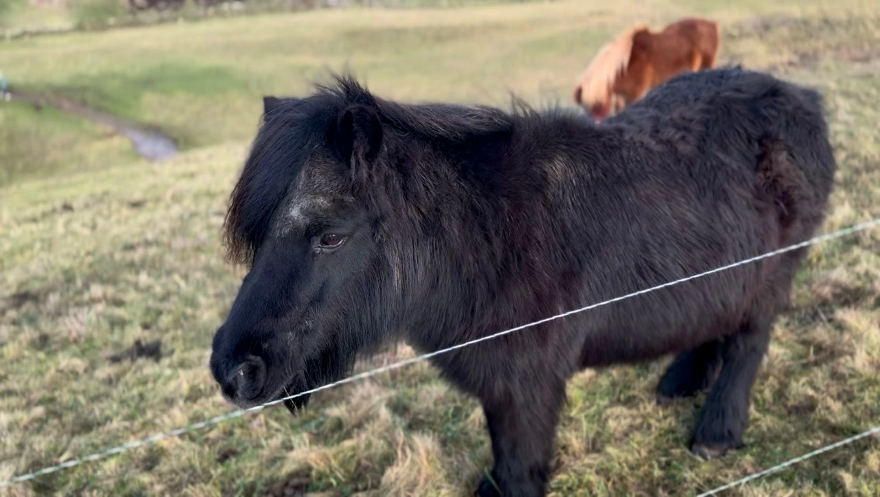 KakaoTalk_Photo_2025-02-28-19-32-05 002.jpeg