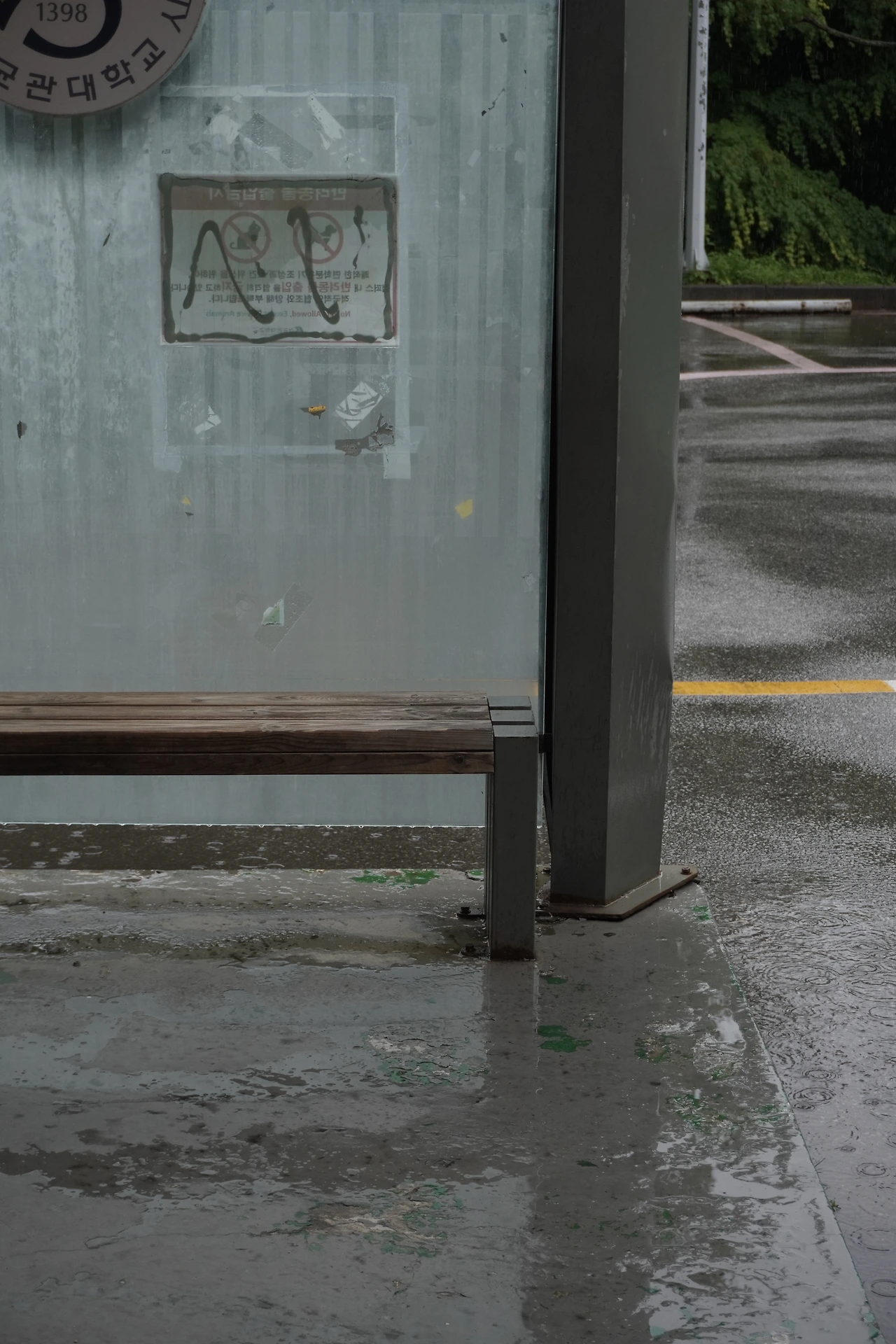 KakaoTalk_Photo_2024-05-29-13-38-25 010.jpeg