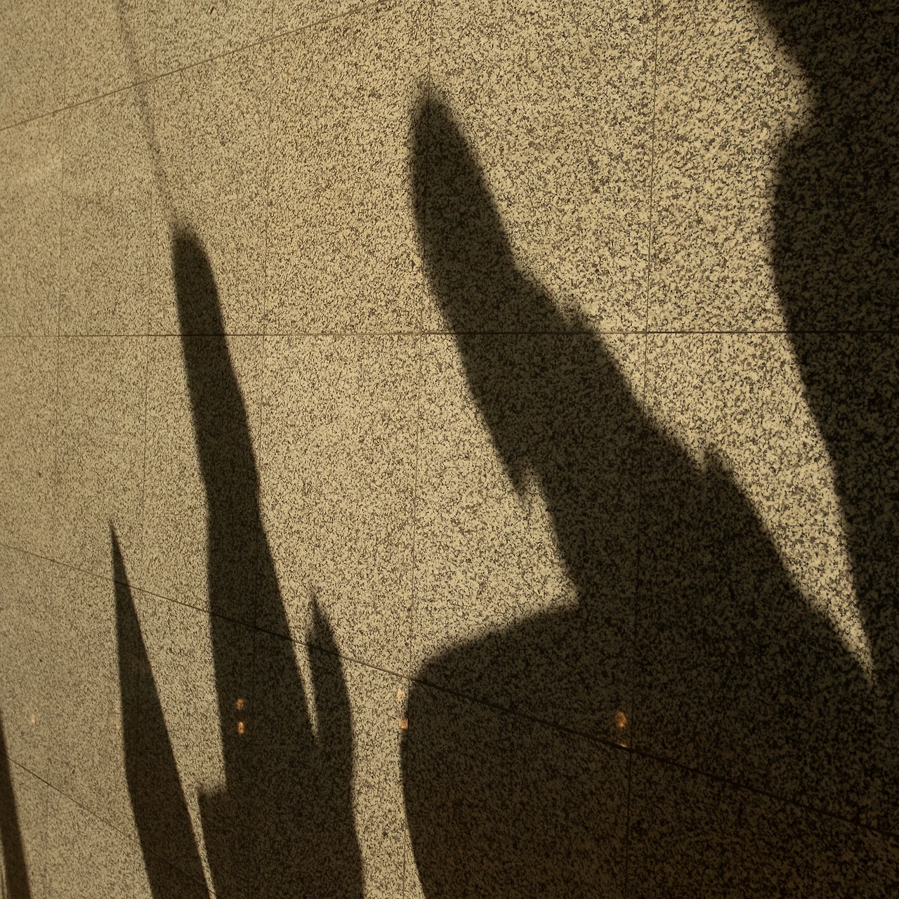 욘님 인터뷰 B컷 5.jpeg