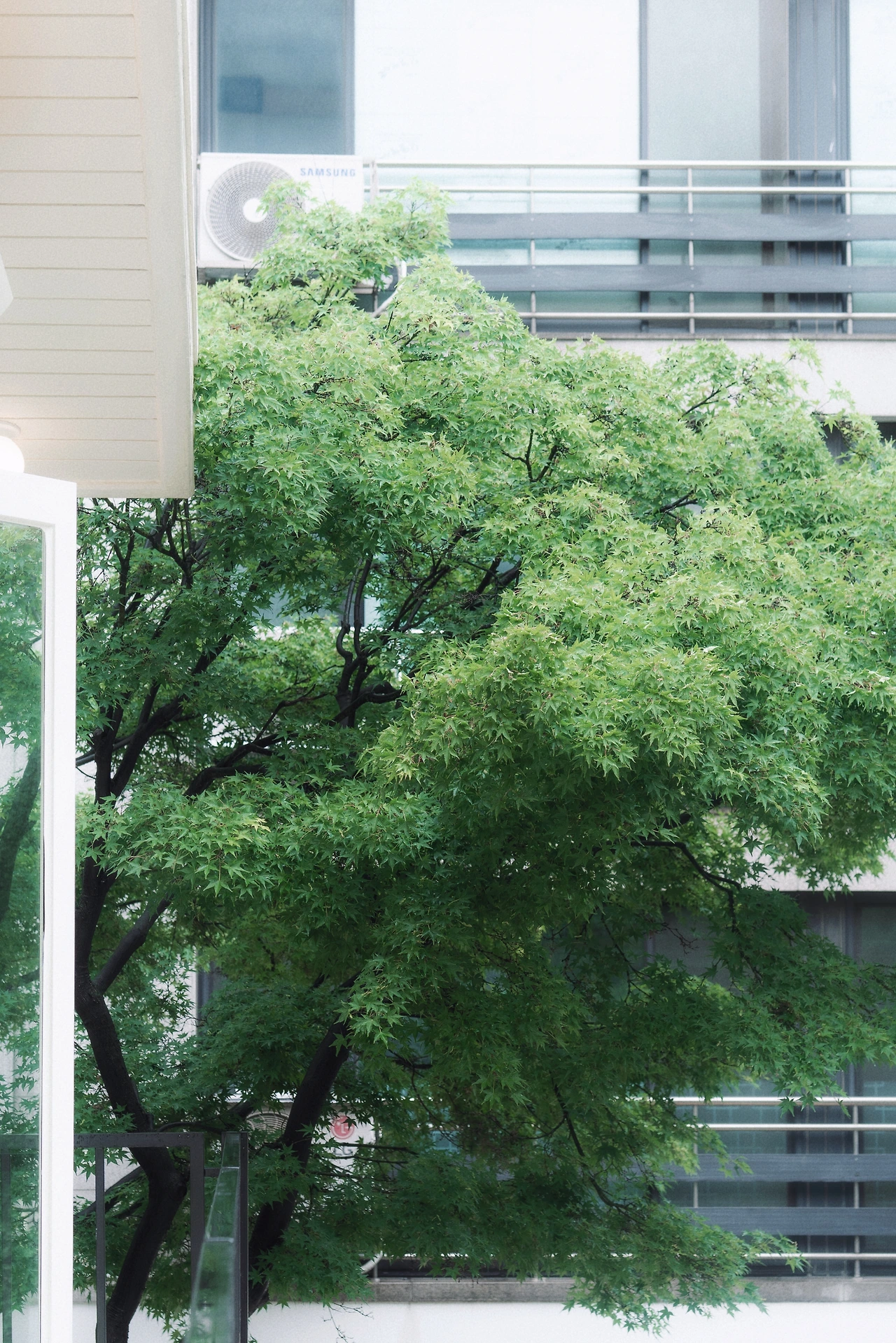 KakaoTalk_Photo_2024-05-15-17-53-38 003.jpeg