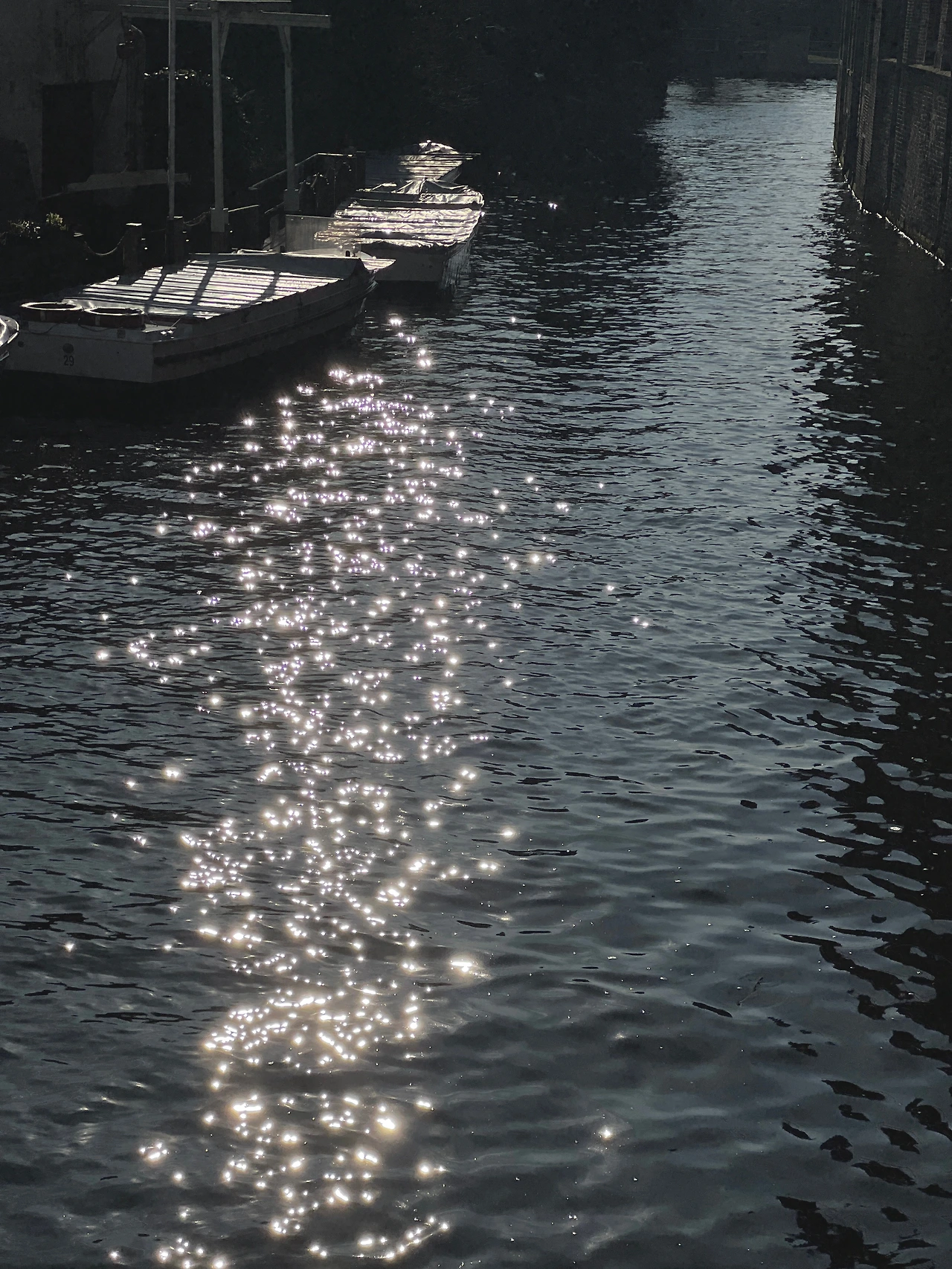 KakaoTalk_Photo_2025-02-26-07-46-48 001.jpeg