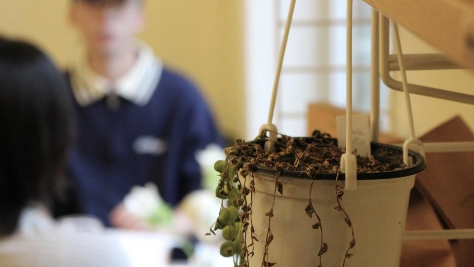 KakaoTalk_Photo_2024-12-17-23-56-19 002.jpeg