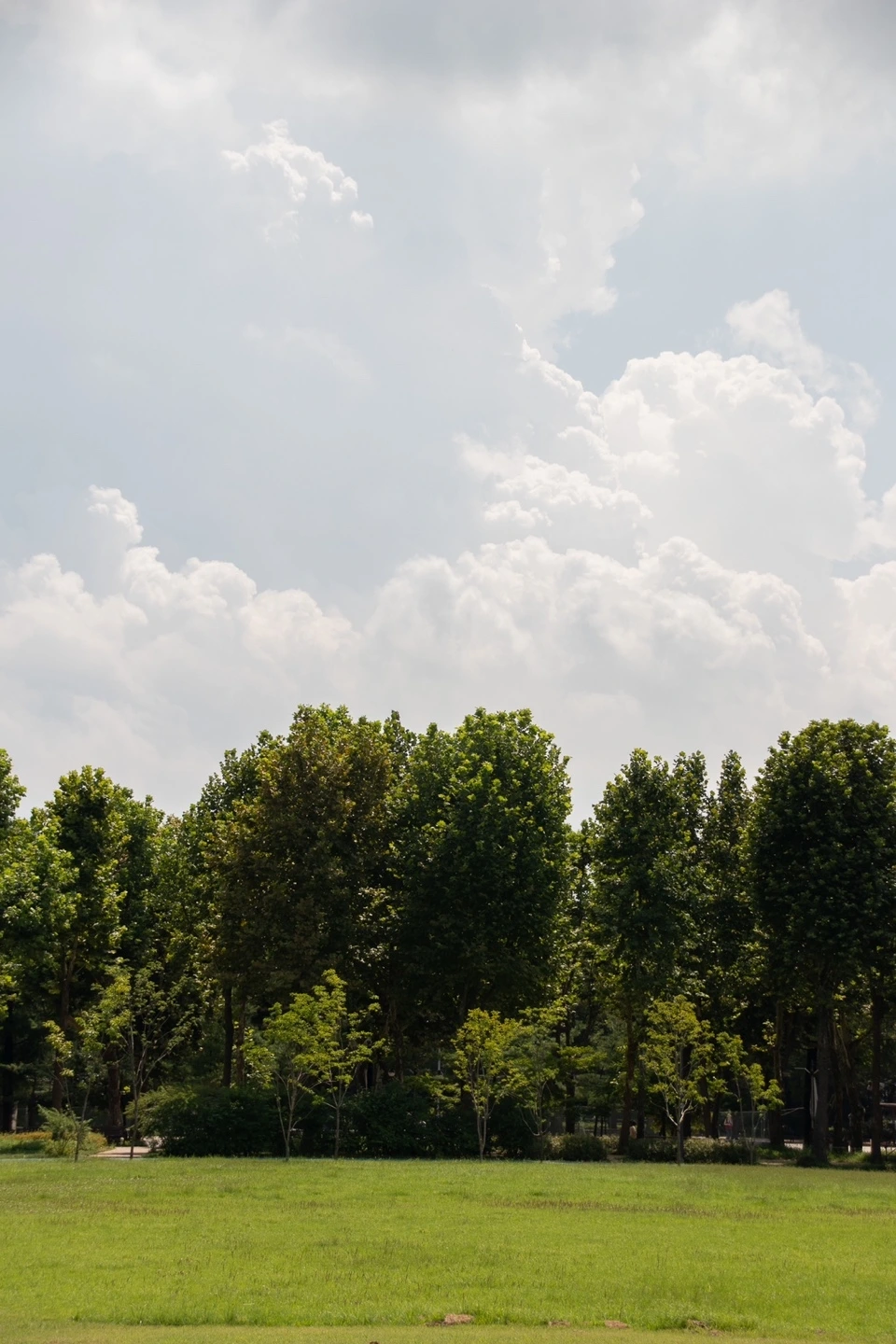 KakaoTalk_Photo_2024-08-28-10-34-38 008.jpeg