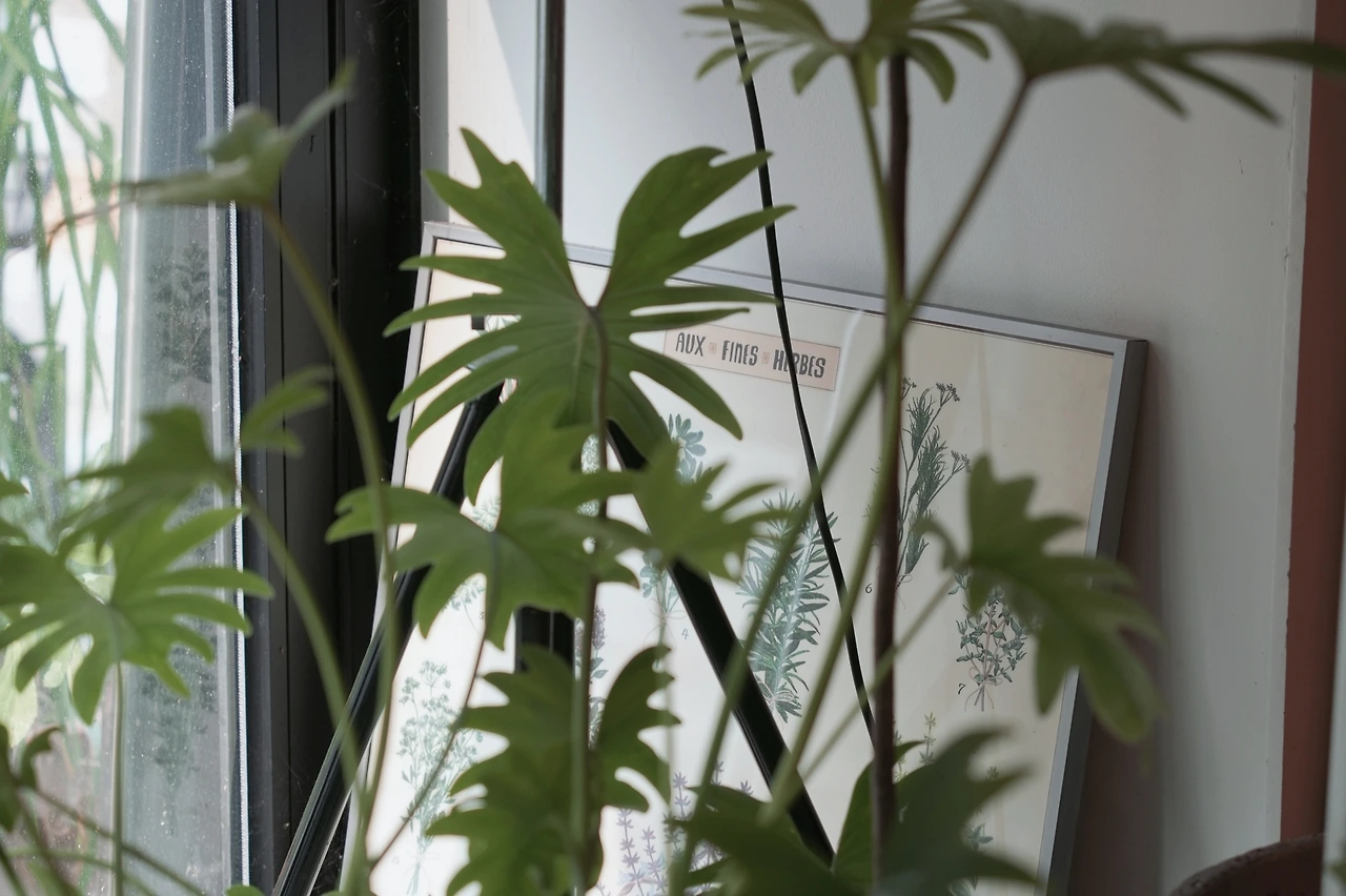 사진 4.jpeg