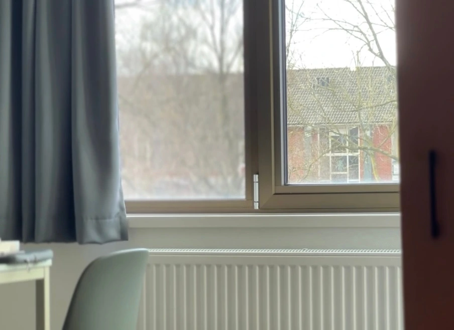 KakaoTalk_Photo_2025-02-26-07-45-35 001.jpeg