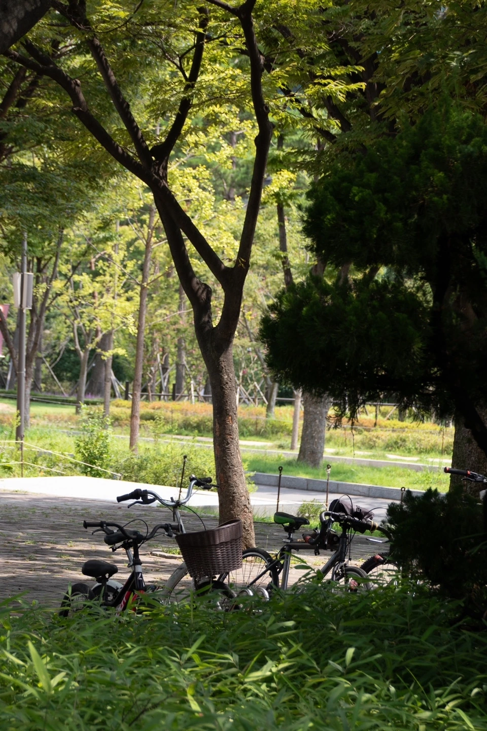 KakaoTalk_Photo_2024-08-28-10-34-38 003.jpeg