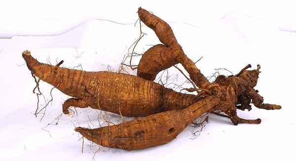 image_155920211531873171635.png?type=w800