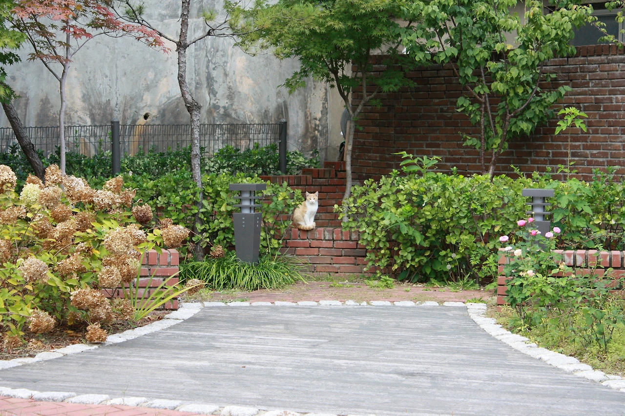 박지연_광장동생활정원332-2_7428 복사본.JPG