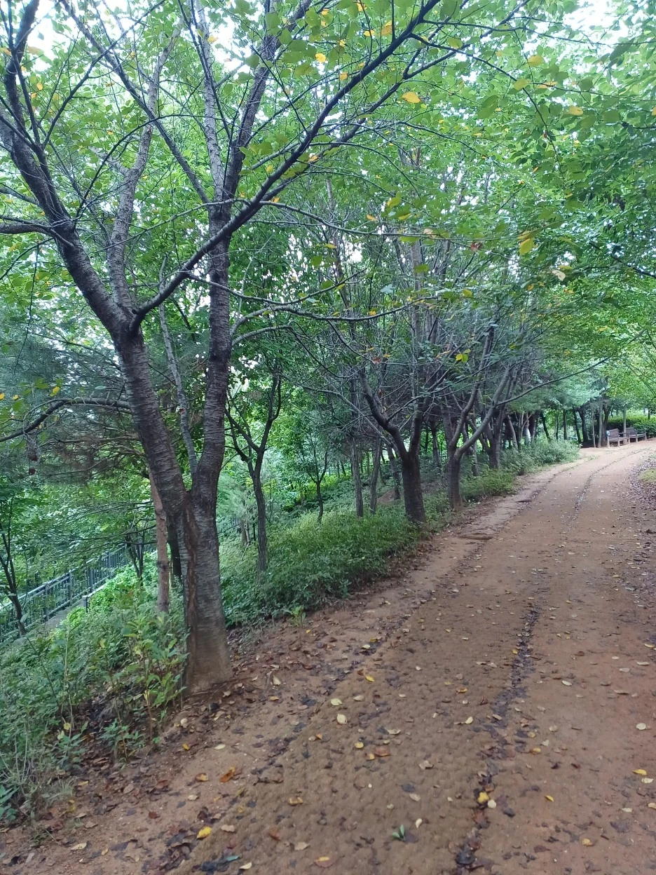 20220829_134841.jpg?type=w1