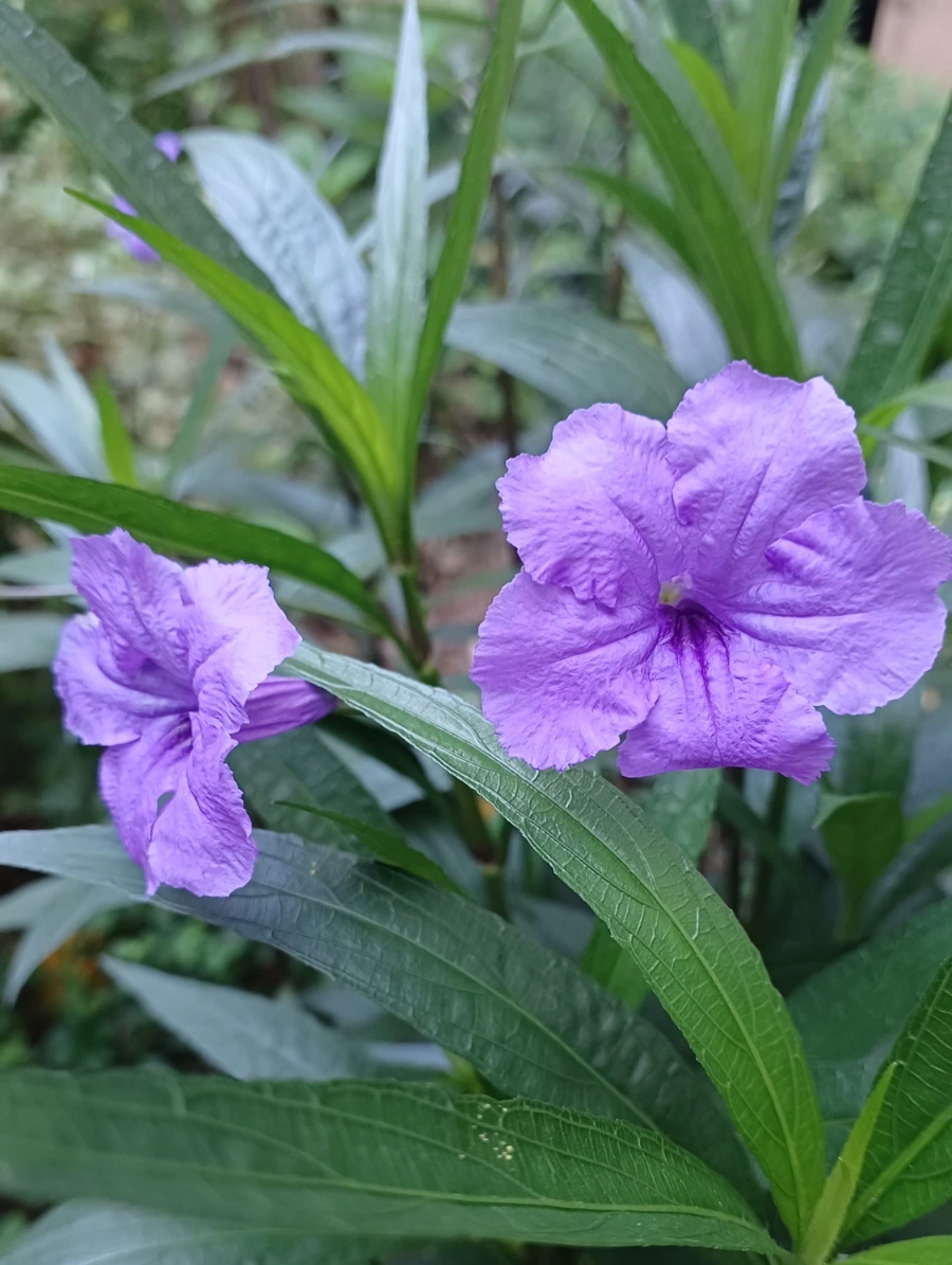 SE-b0fc06cf-1ec9-11ed-b696-2ffd78948544.jpg?type=w1