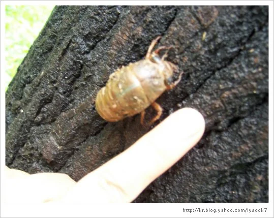 img_33_461_13.jpg?type=w1