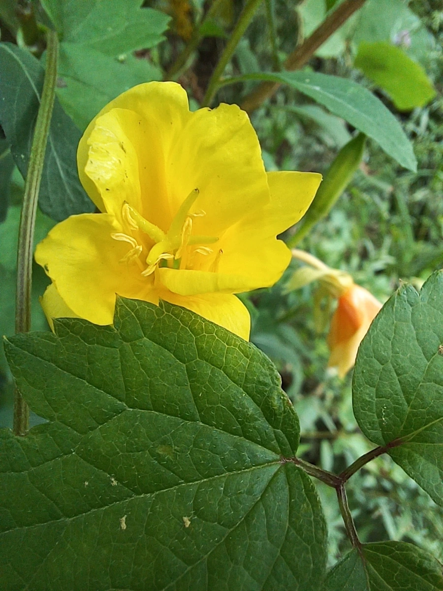 20220903%EF%BC%BF113920.jpg?type=w1