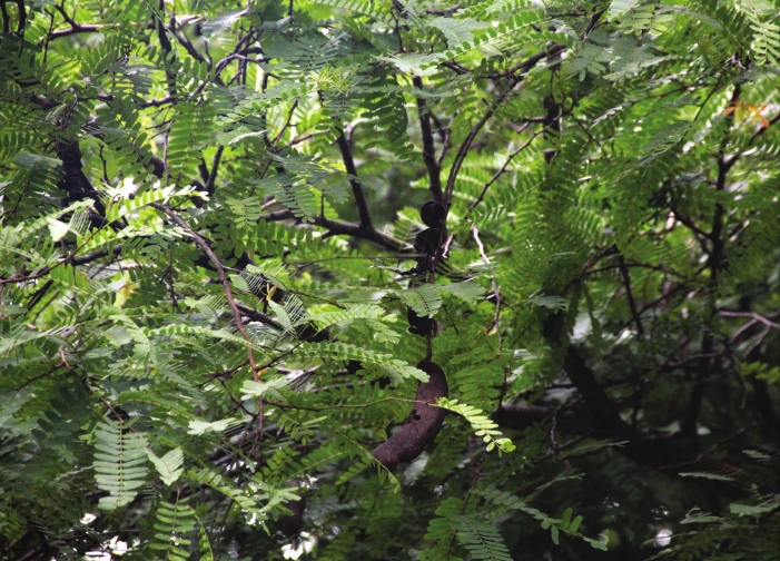 32698_5455_2050_%EC%82%AC%EC%A7%84_%EB%B6%88%EA%B4%91.png?type=w1