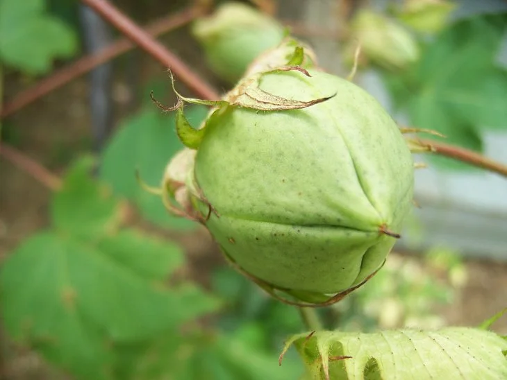 result_2006_8_1_16_48_34_156_26-lysook7.jpg?typew1