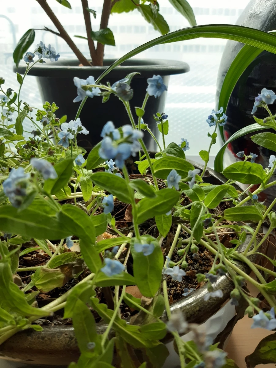 20211215%EF%BC%BF113949.jpg?type=w1