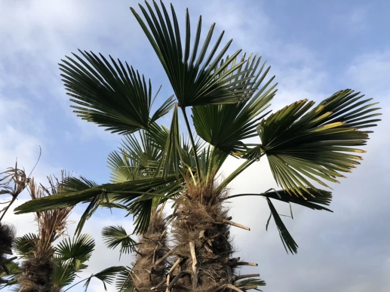 IMG_7959.jpg?type=w1