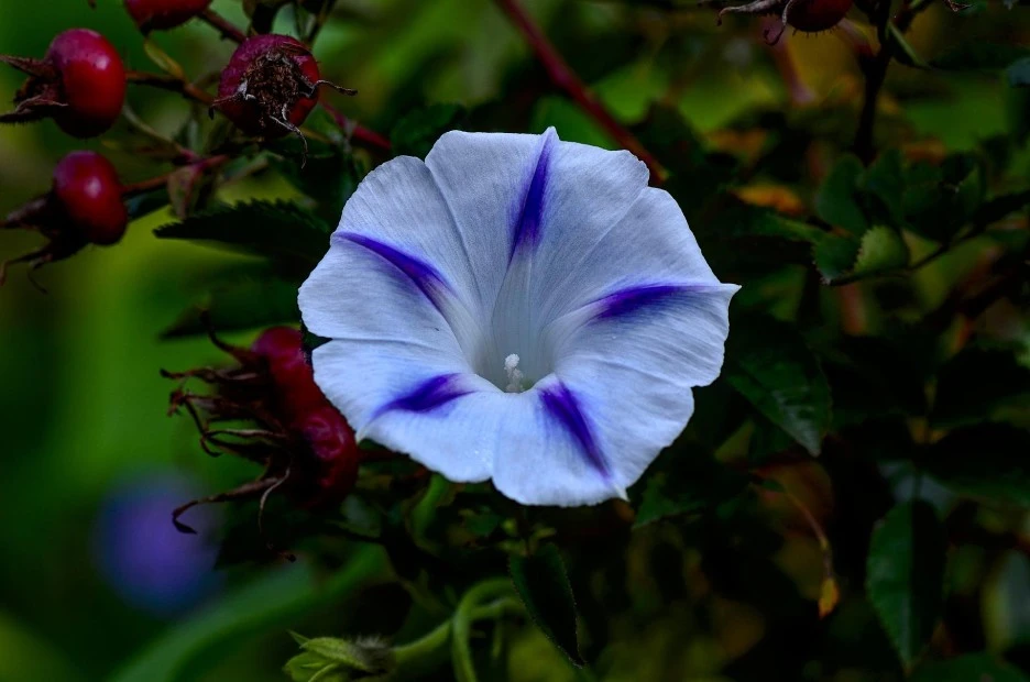 funnel-thread-4061998_1920.jpg?type=w1