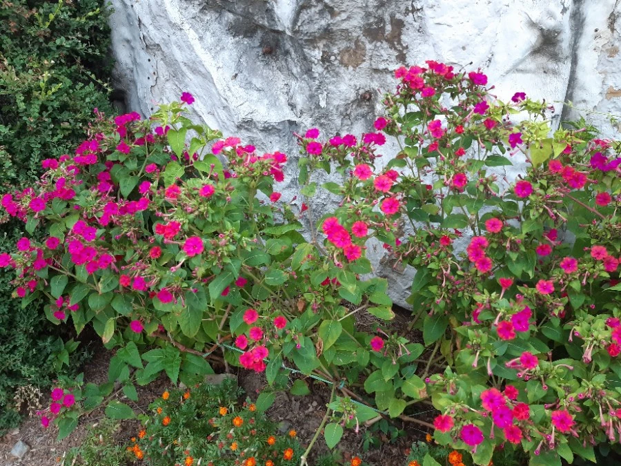 20210819%EF%BC%BF185452.jpg?type=w1