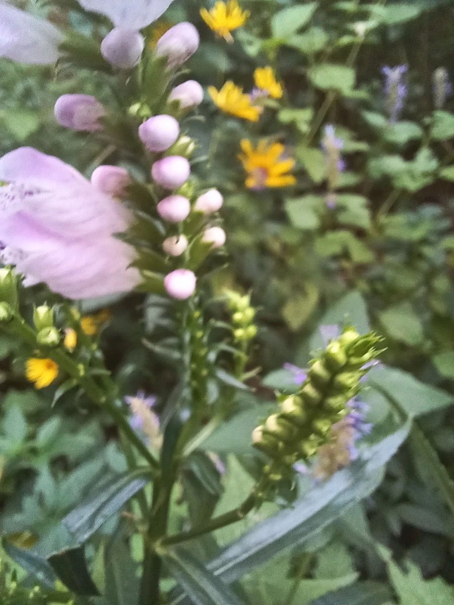 20220910%EF%BC%BF063922.jpg?type=w1