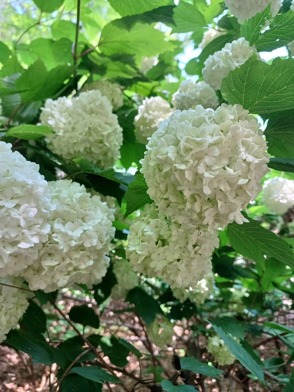 20230514_102719.jpg?type=w1