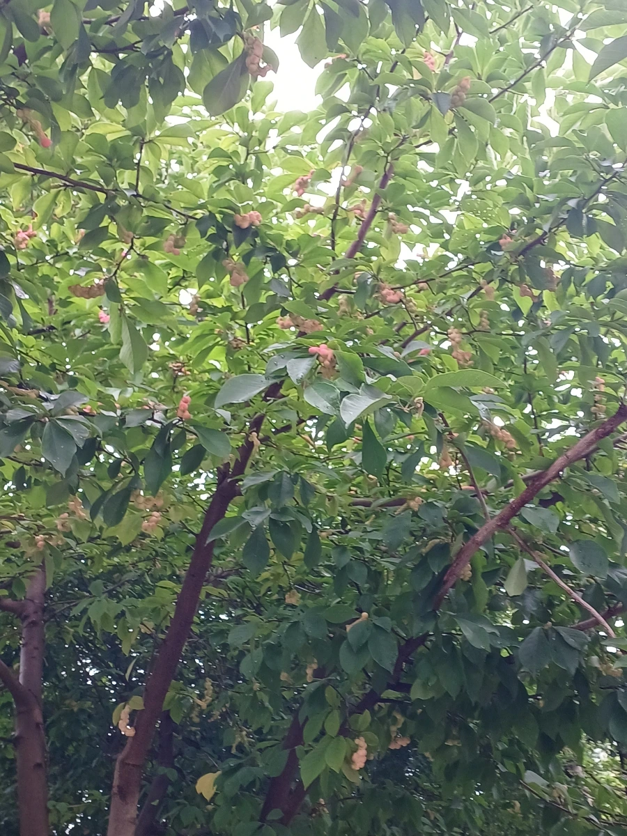 20220829%EF%BC%BF135548.jpg?type=w1