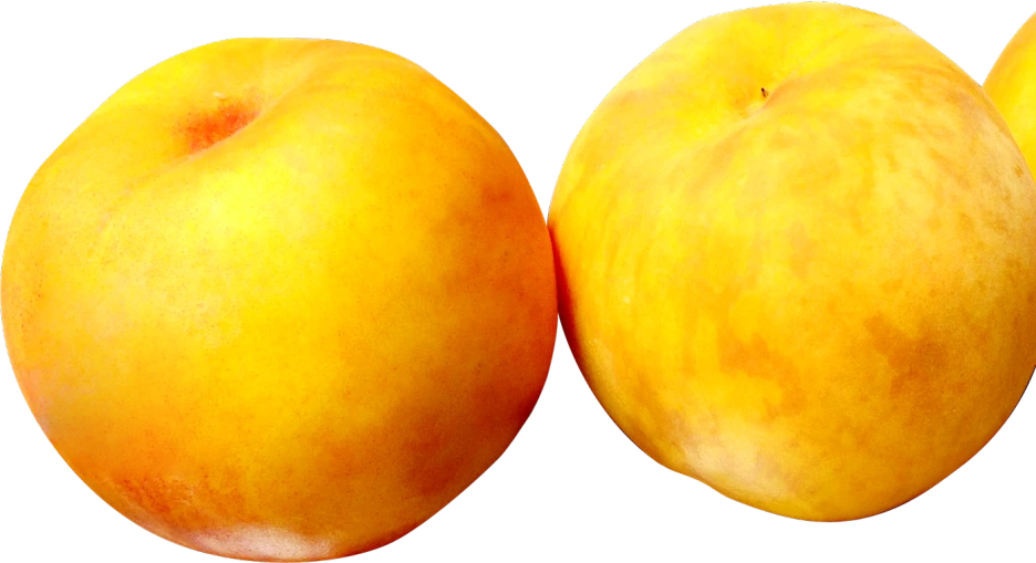 SE-0c45e374-e287-4e27-87cc-1295d9a70faf.png?type=w1