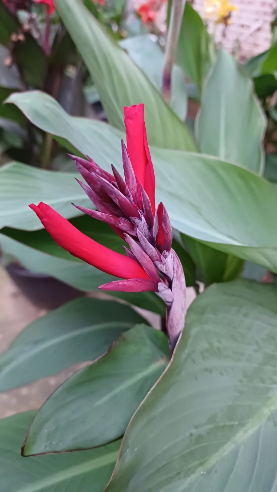 20220817%EF%BC%BF192434.jpg?type=w1