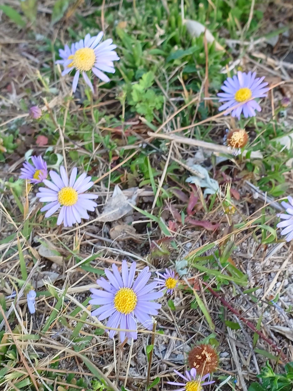 20221023_081223.jpg?type=w1