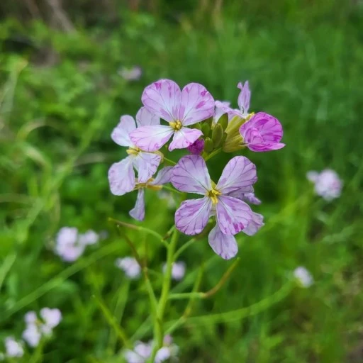 %EB%8B%A4%EC%9A%B4%EB%A1%9C%EB%93%9C.jpg?typew1