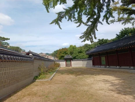 20241009_124220.jpg?type=w466