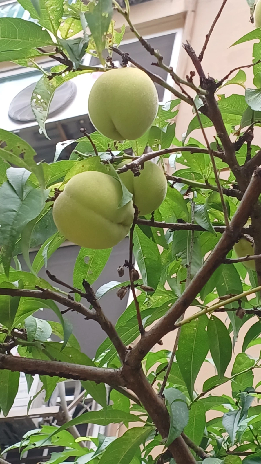 20220807%EF%BC%BF115237.jpg?type=w1