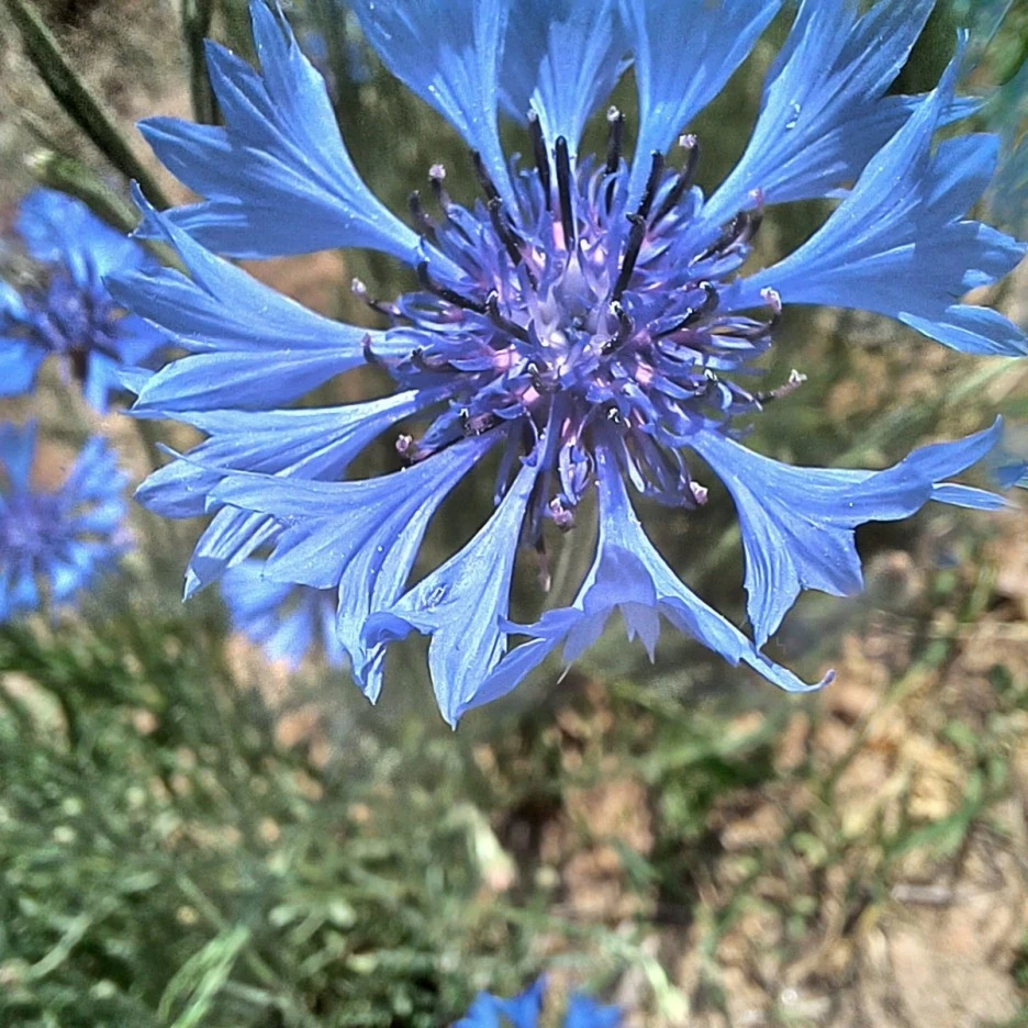 20220516_131607.jpg?type=w1