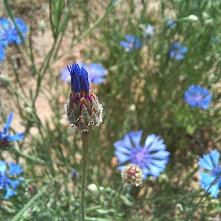 20220516_131543.jpg?type=w1