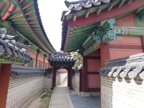 20241009_123459.jpg?type=w466