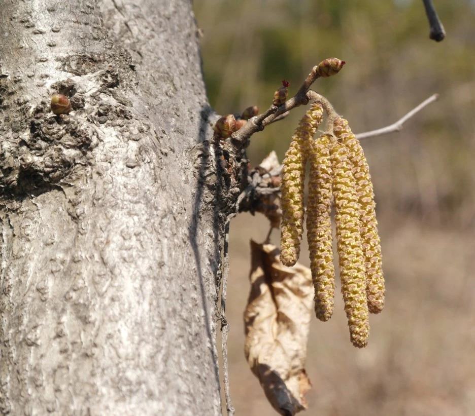 SE-522a4f82-480f-4d71-a815-cf94a6df0976.jpg?type=w1