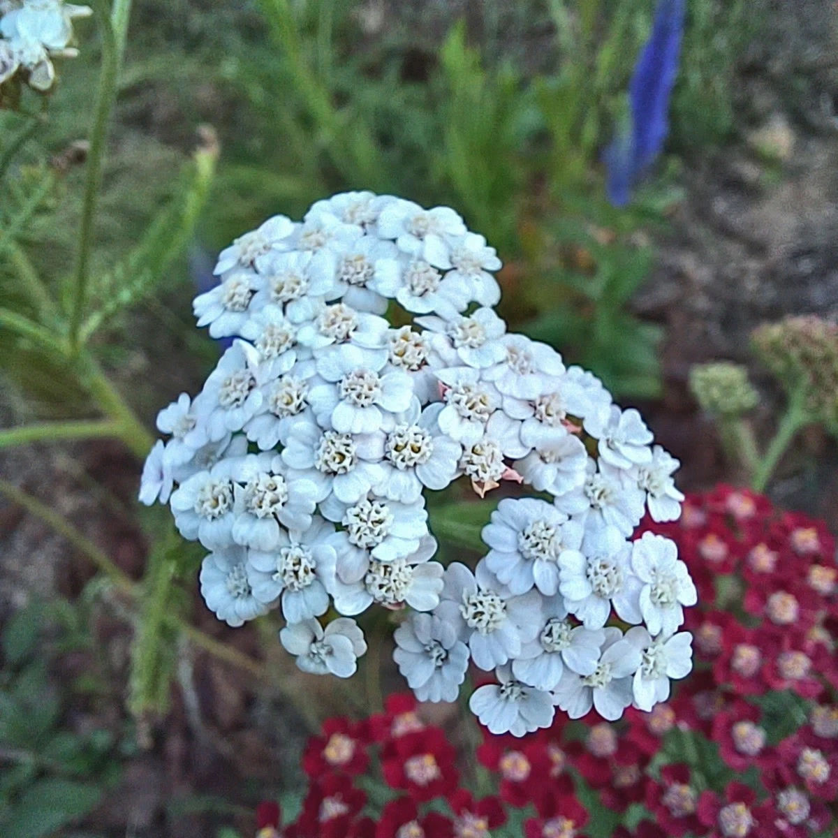 0_7a9Ud018svc7l5ha1f0kesw_818kqs.jpg?type=e1920_std