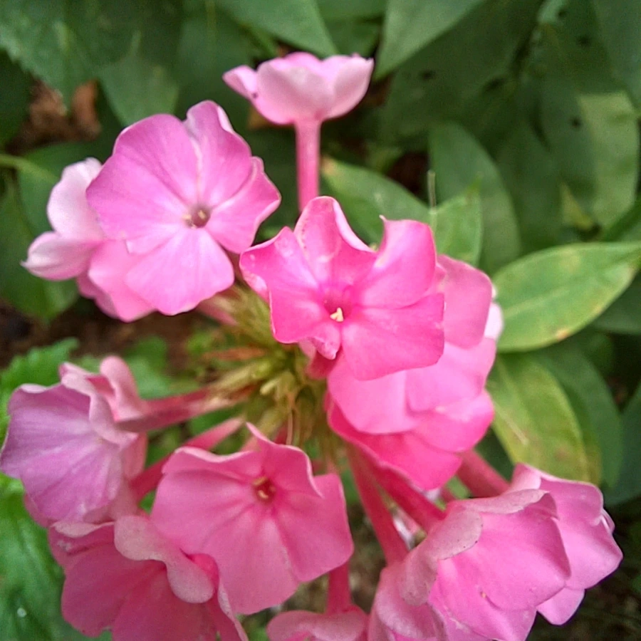 20220705%EF%BC%BF123307.jpg?type=w1