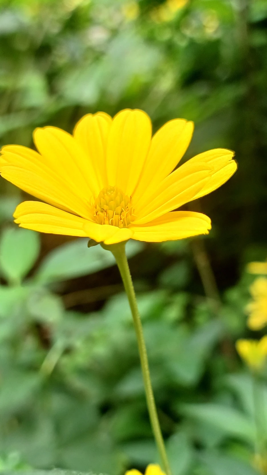 20220807_120250.jpg?type=w1