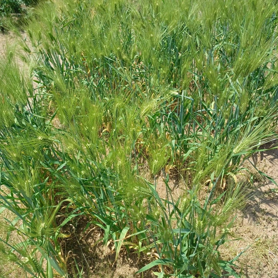 20220516_130346.jpg?type=w1