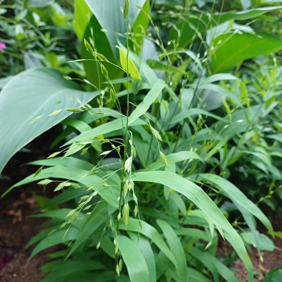 20220619_172720.jpg?type=w1