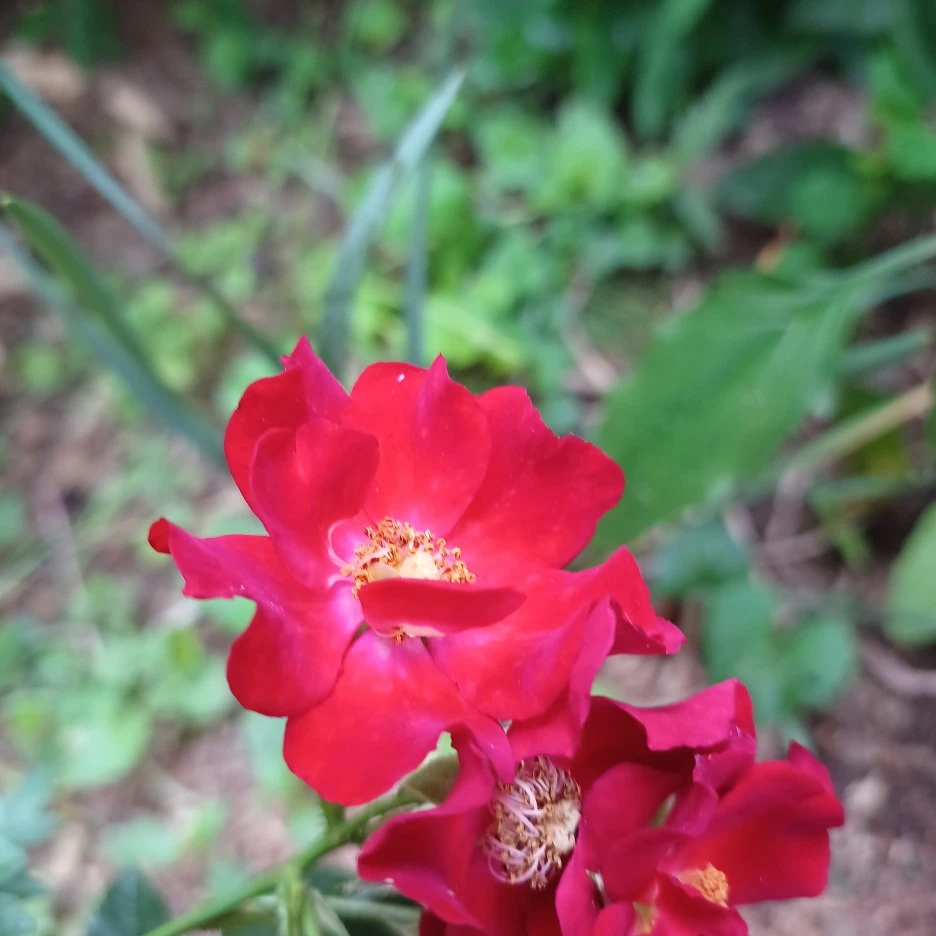 20220530_110330.jpg?type=w1